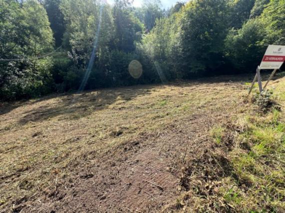 Angebot - Fotoansicht